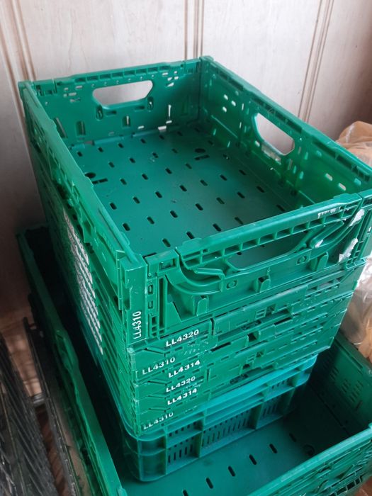 Skrzynki plastikowe do transportu żywności