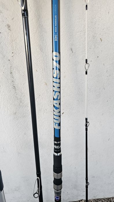 Cana surfcasting Vega Fukashi S70