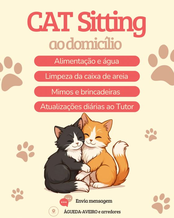 Cat Sitting Aveiro473101586840965121