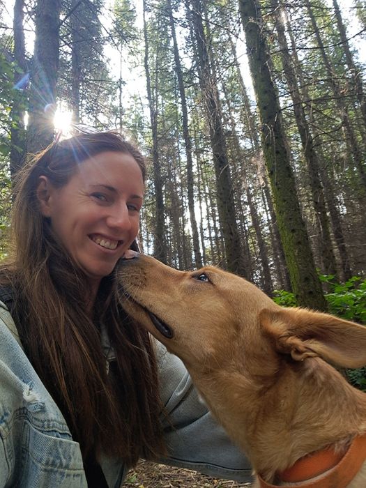 Domowa opieka nad zwierzętami