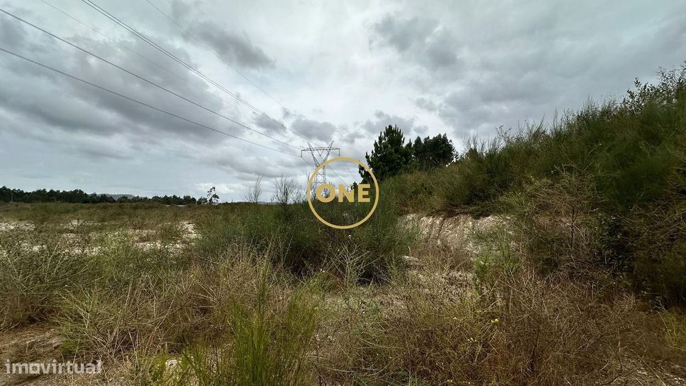 Terreno Industrial l 1210m2 l Ferreira