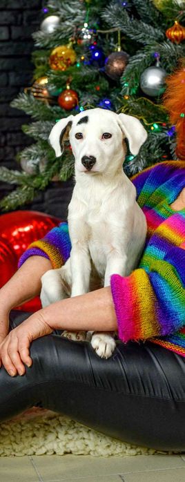 Дівчинка знайдена в полі