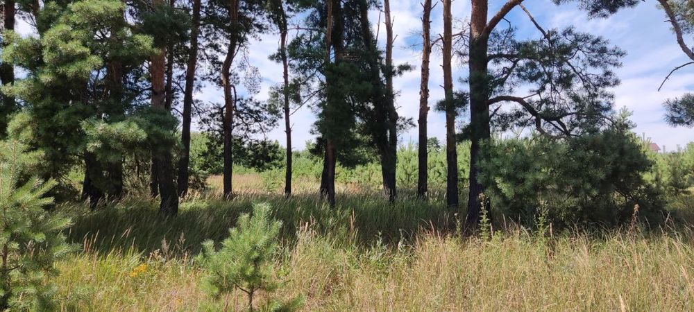 Продам земельну ділянку с. Литвинівка