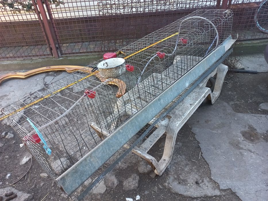 Продам клеткудля курей несушек