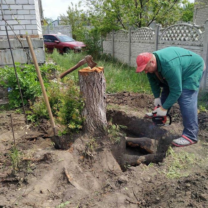 Недорого Спил дерева Расчистка Покос уборка Выкорчёвка Вывоз