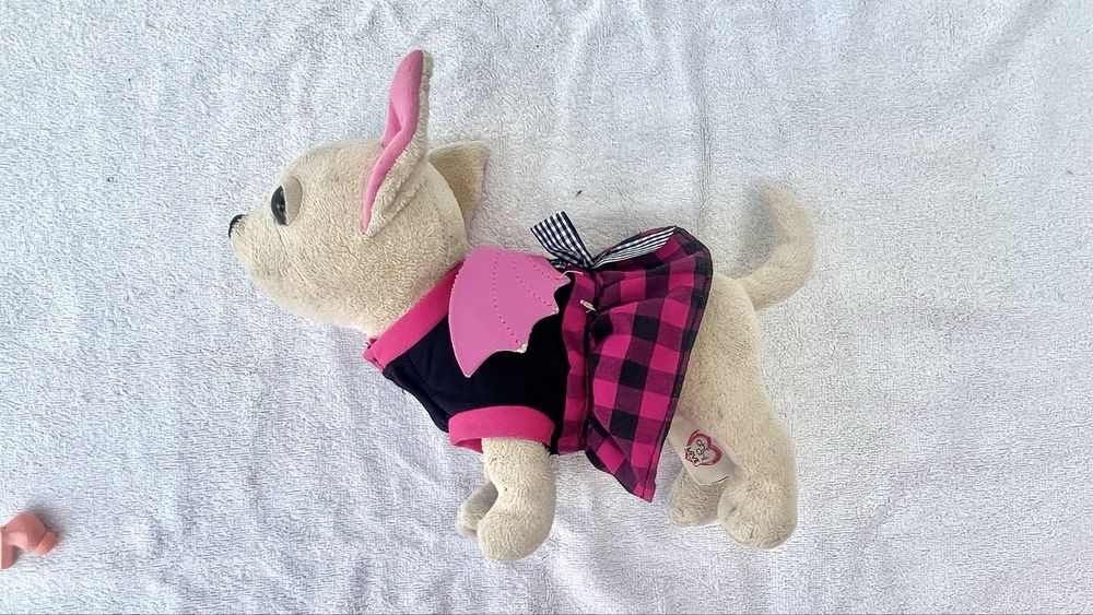 Pelushe chiuaua