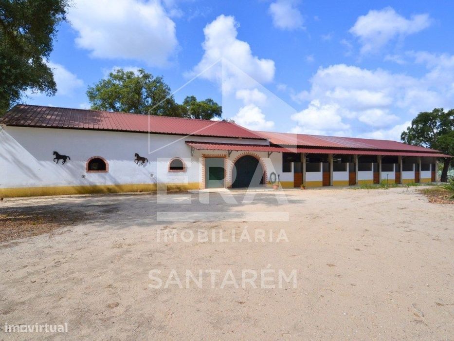 Quinta com 5,8 hectares, em Santarém
