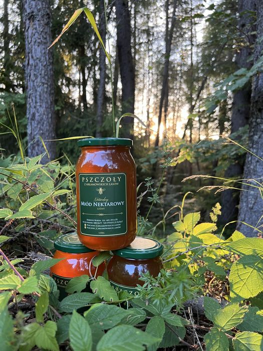 Miod nektarowy - leśny                           2 x sloik 1250g/900ml