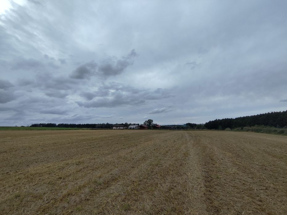 Sprzedam ziemię rolną 2.66ha - Widok 4