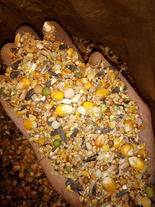 Karma dla gołebi Standardowa 25kg S