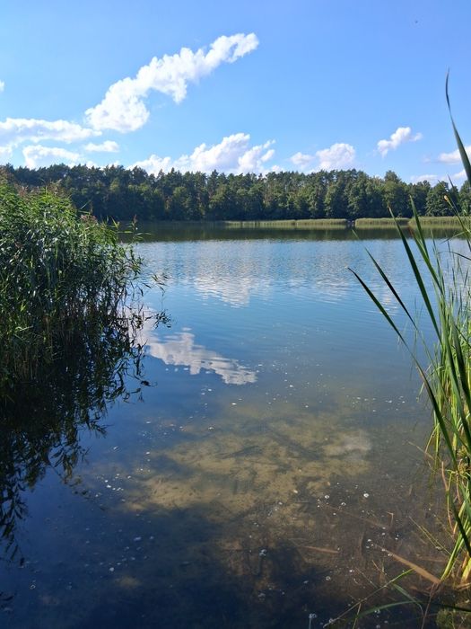 Dzialka budowlana - Więcej