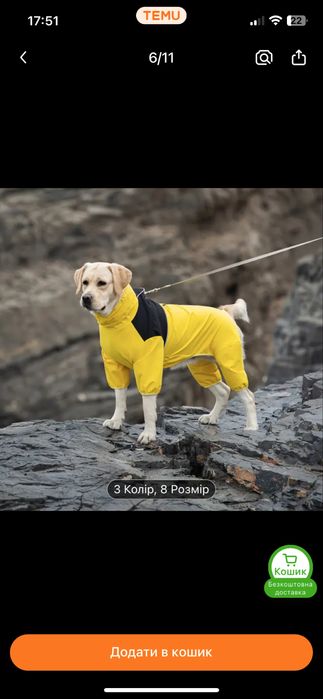 Дощовик для собаки