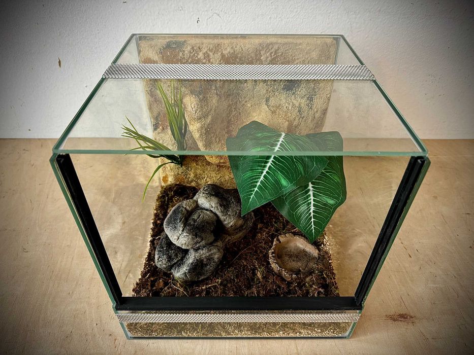 Terrarium szklane z wystrojem 30x30x30 cm. AlleTerra