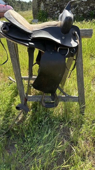 Cela Cavalo Equitação