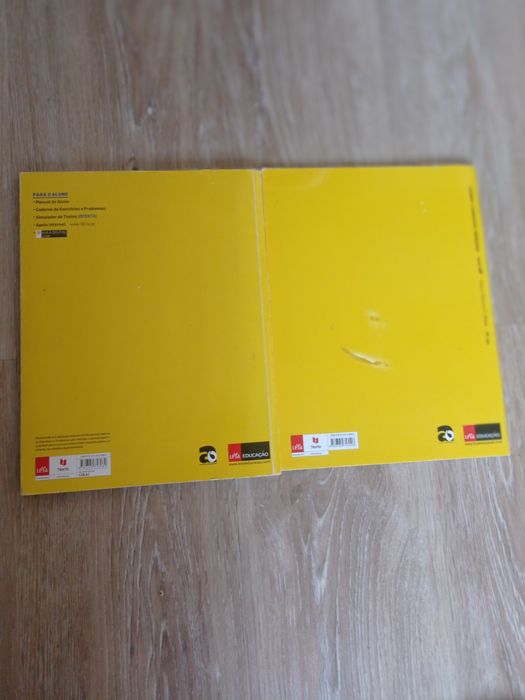 Manuail e caderno atividades Fisica 10°ano