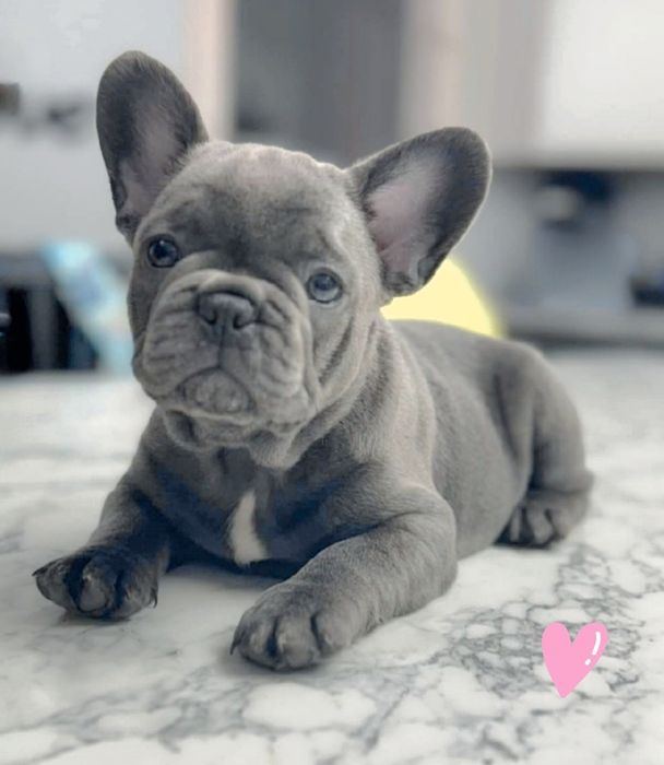 Маленьке кохання