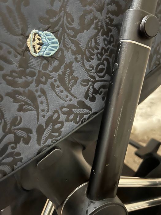 Візок Cybex Priam jewels of nature 2в1