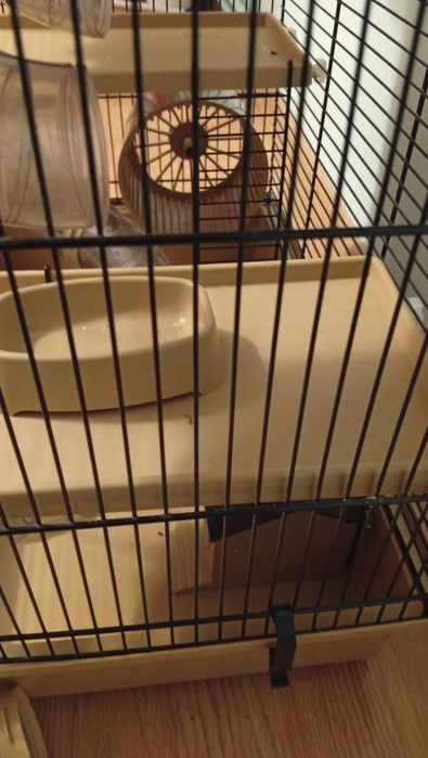 Klatka dla chomika duża okazja