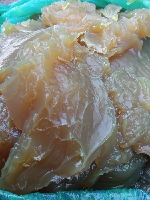 Літол 24/Litol//