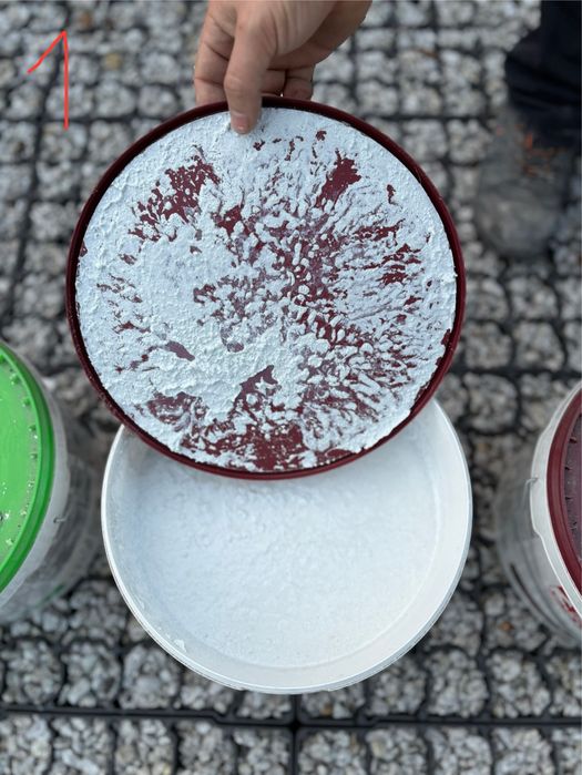 Tynk silikonowy masa tynkarska baranek sil fast