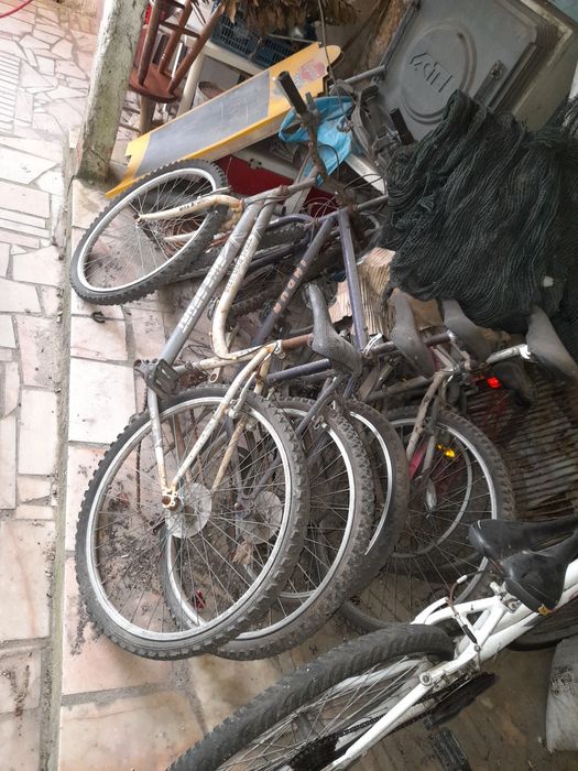 Lote de bicicletas