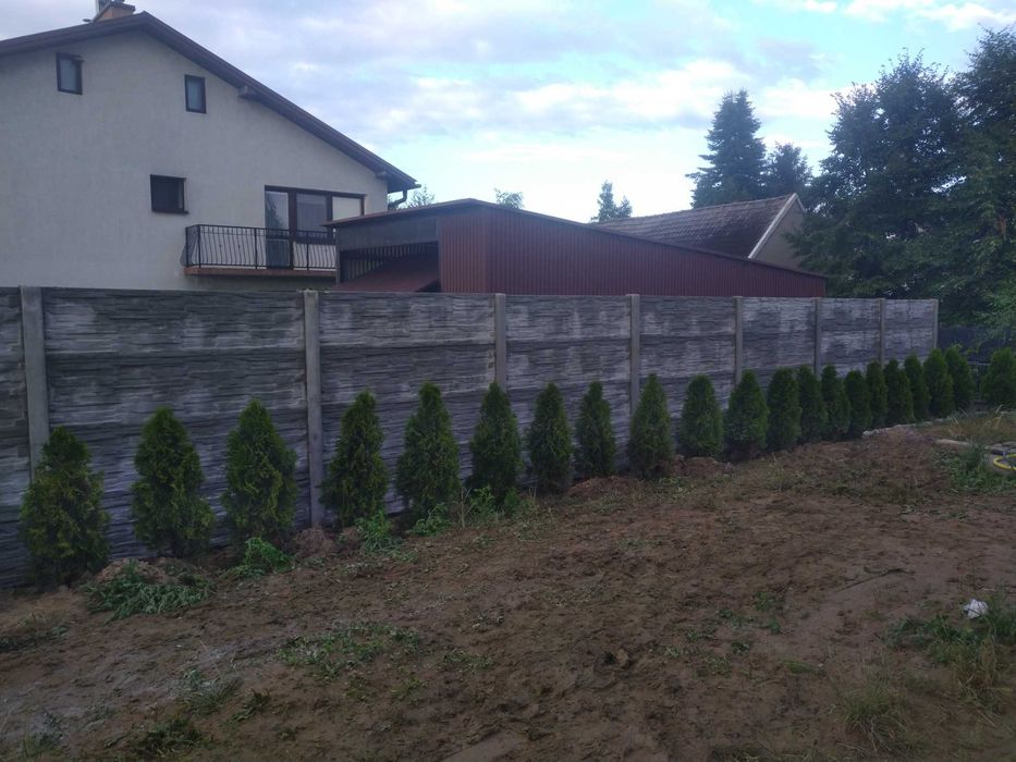 Płyta betonowa, ogrodzenie betonowe