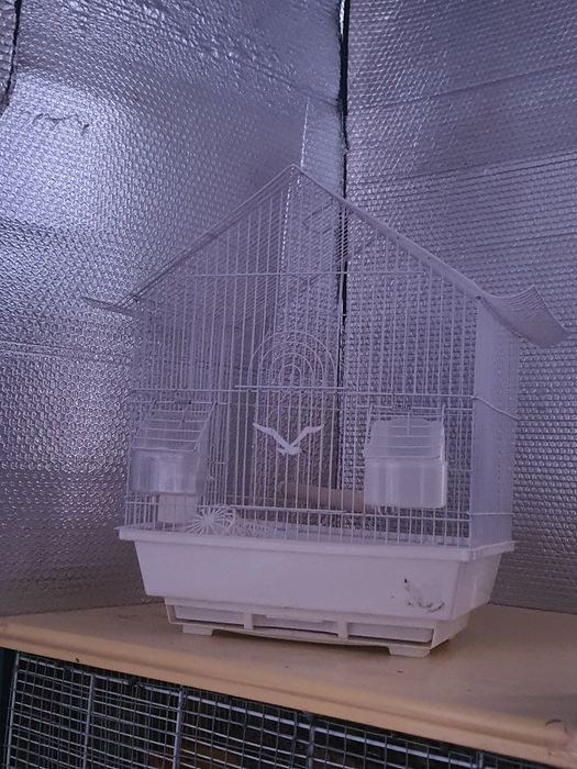 Gaiolas usadas em bom estado