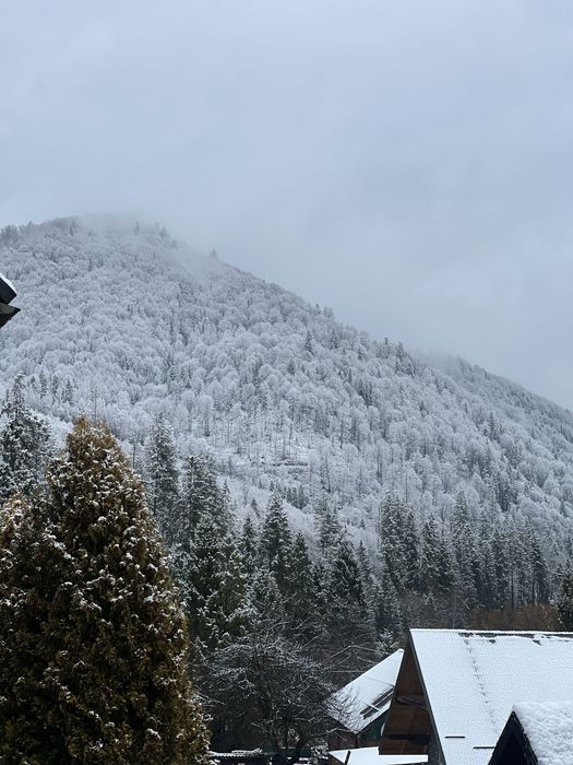 Готель, під групу  ,Славсько