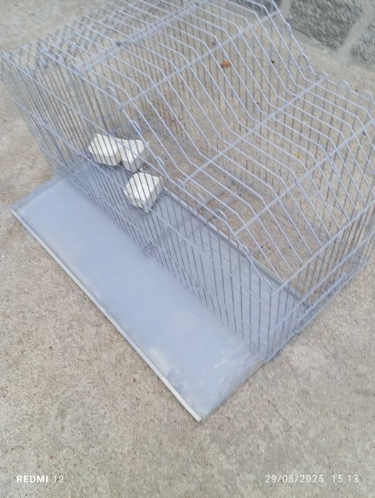 Gaiola para papagaio e aves de medio porte