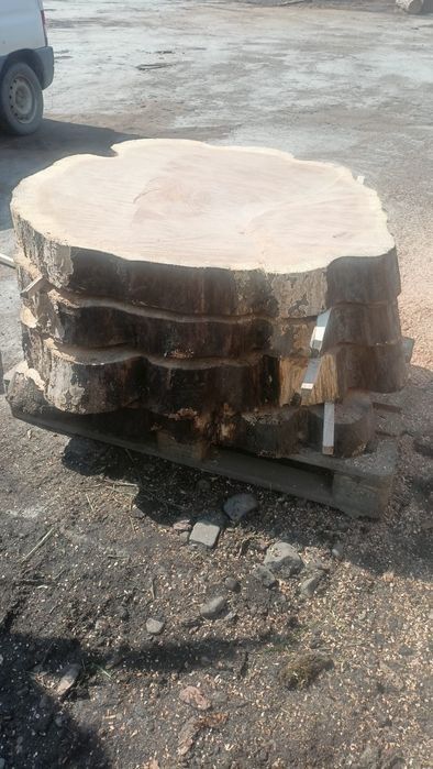 Plastry dębowe (OKAZYJNA CENA)