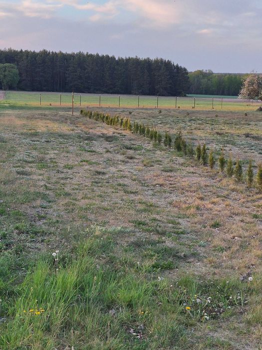 Okazja tanio ładna działka budowlana blisko Siedlec w Stoku Ruskim - Widok 4