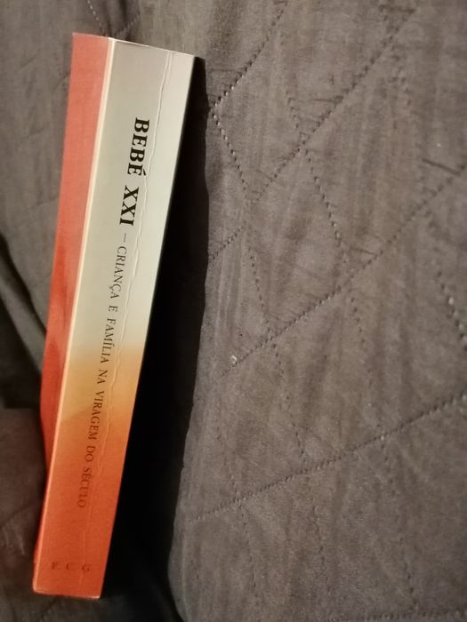 Livros "Paradigmas Educacionais - escola e sociedades" e "Bebé XXI"