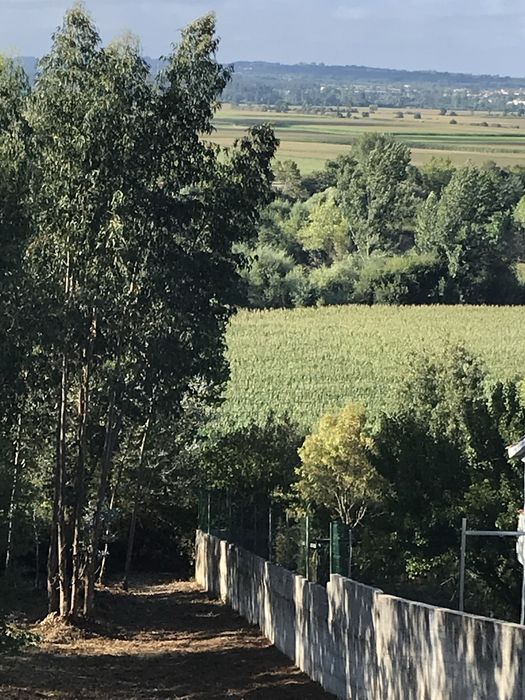 Terreno urbano Sto Varão