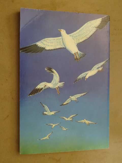 Paradise Is a Personal Matter by Richard Bach64740544314883123