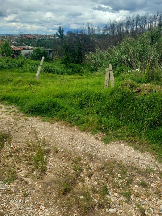 Terreno em Angeja