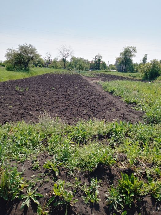 Продам земельну ділянку