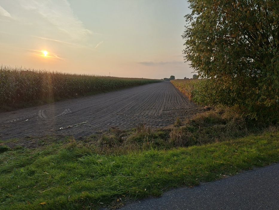 Nieruchomość rolna wraz z łąką Brudzew, Krwony