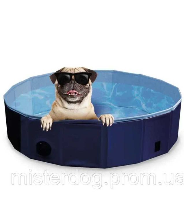 Бассейн для собак.