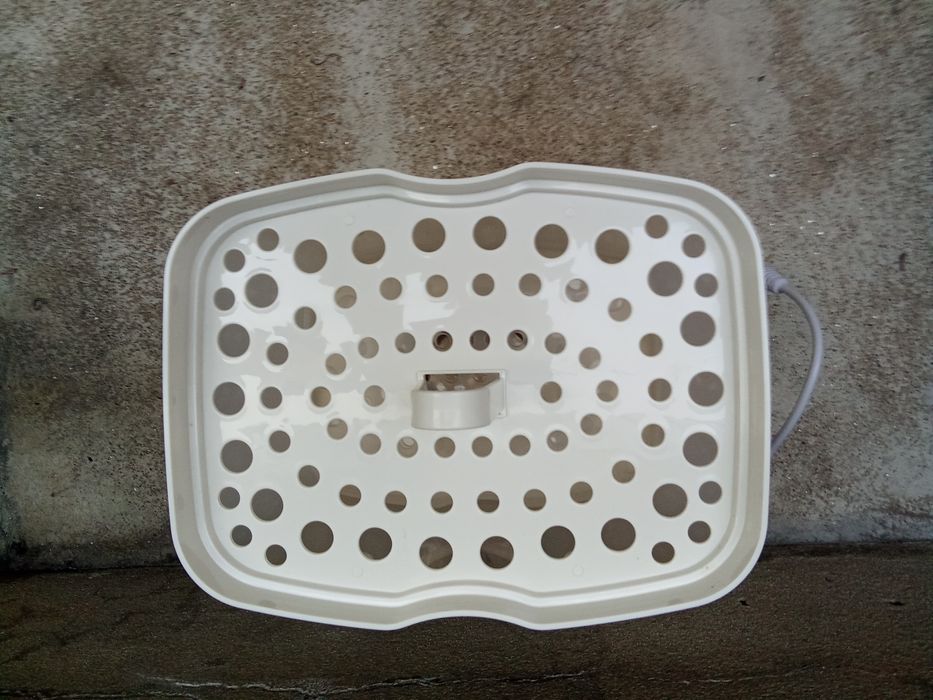 Esterilizador Chico447405001278105603