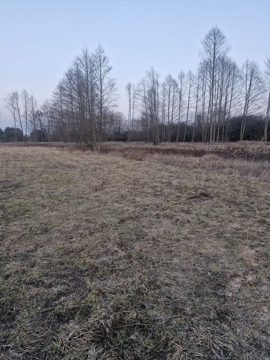 Działka budowlana 1000 m2