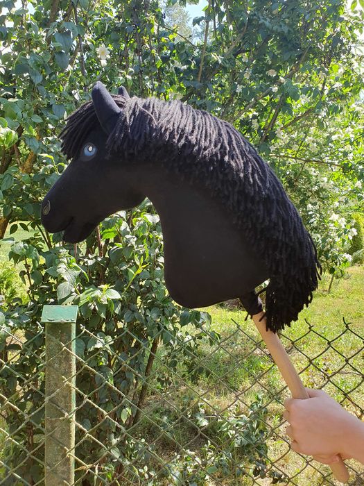 Nowy hobby horse