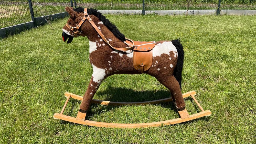 Konik na biegunach