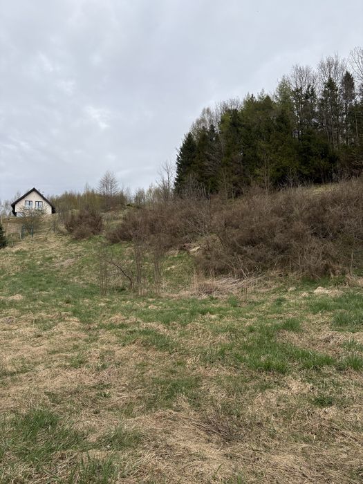 Malownicza działka nad jeziorem
