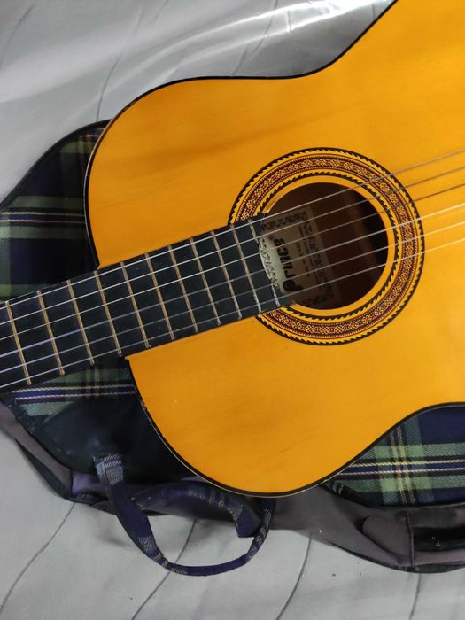 Viola castanha com capa