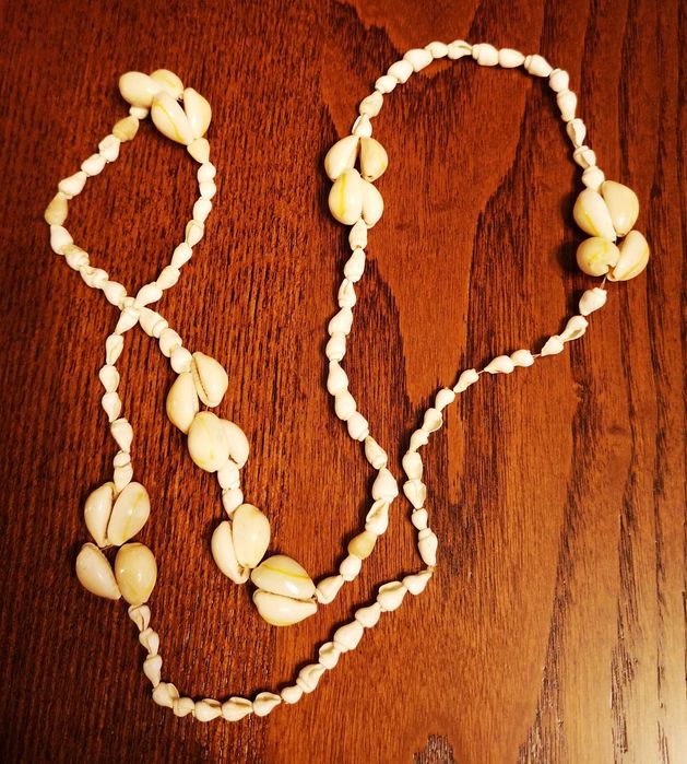 Korale muszelki z Florydy