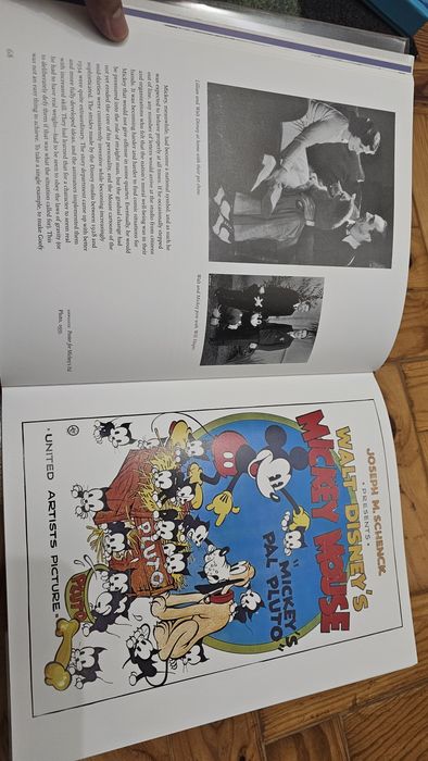 Livro Walt Disney Coleccionável