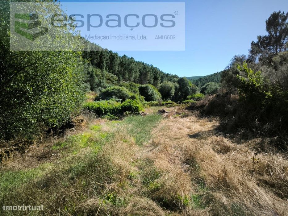 Terreno Agrícola
