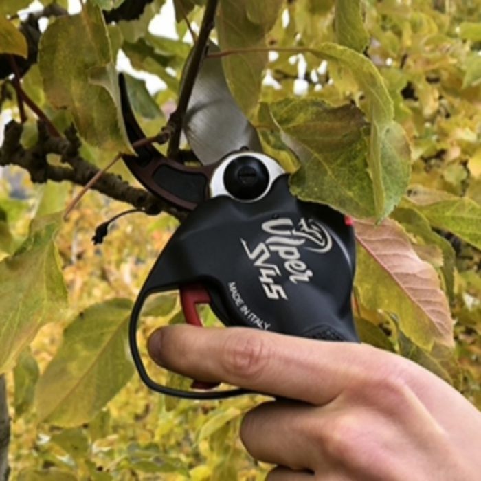 TESOURA PODA BATERIA ZANON VIPER SV45 (DRIVE 300.S)