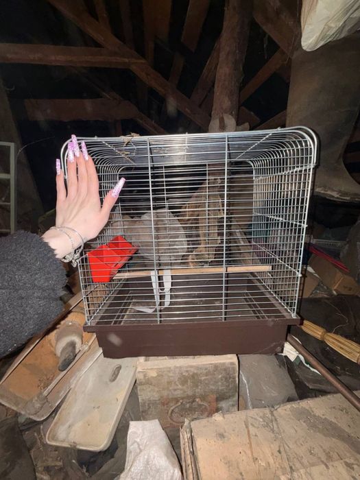 Продам клітку доя тварин