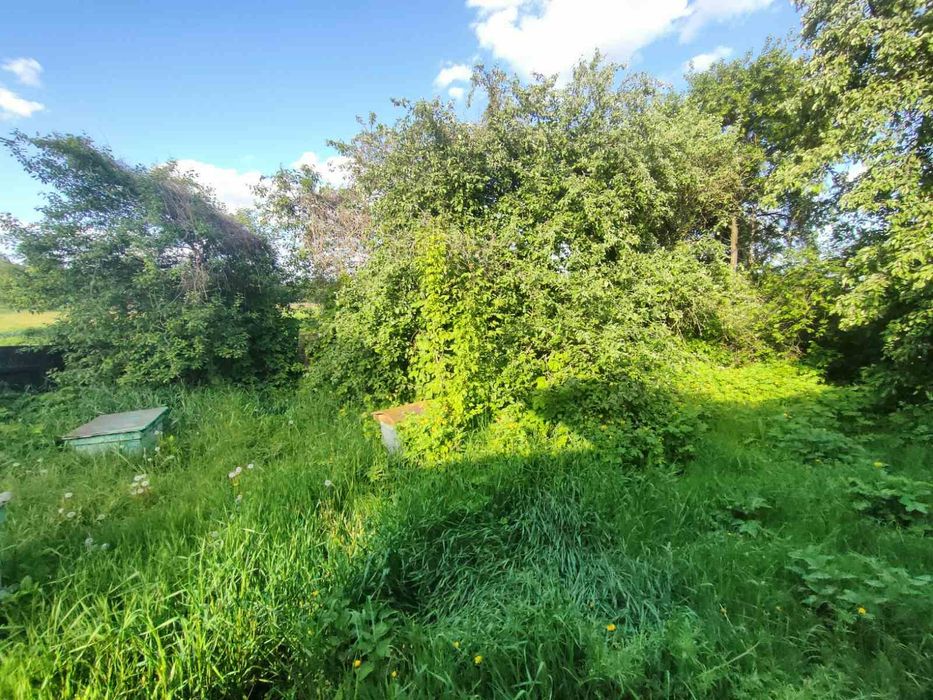 Будинок в с. Горбове